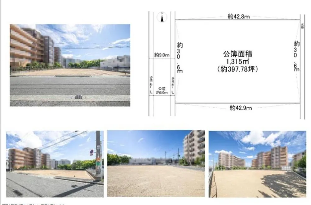 Land Plot & Dimensions